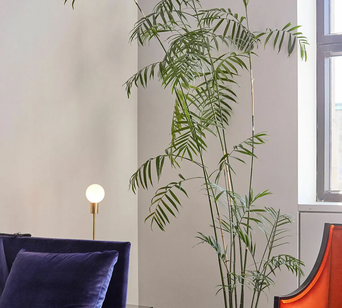 Hotel St Paul, Montreal, A Member Of Design Hotels